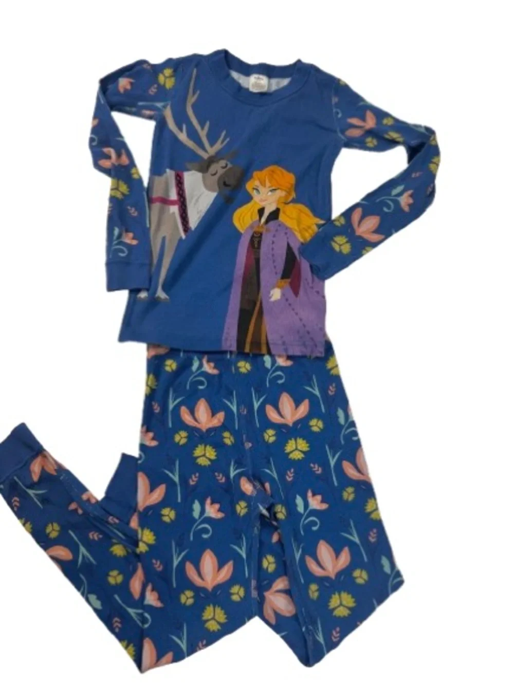 Blue Floral Frozen Anna & Sven Pajama Set